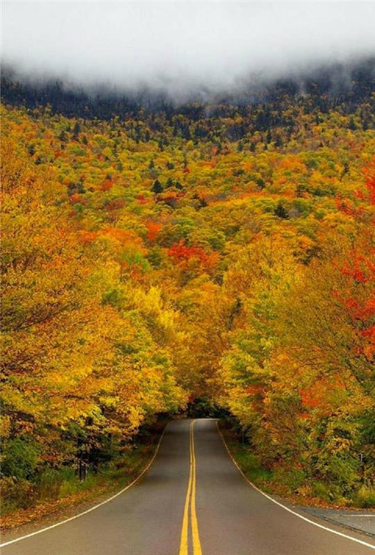 na jeseň-foto-obraz-jeseň-krajina-krásna-príroda-cesta
