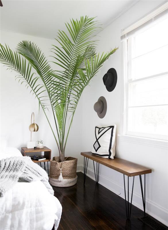 veľká izbová rastlina, palma v držiaku na ratanový kôš, moderná spálňa, lavica z dreva a kovu, biela a sivá posteľná bielizeň, klobúky usporiadané na bielej stene