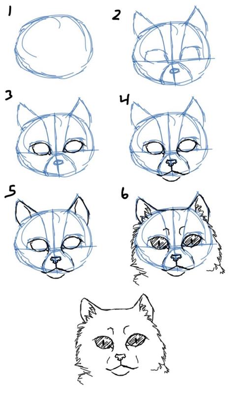 lär dig att rita en katt enkelt, handledning för att lära dig att göra en katt ansikte med hjälp av guidelinjer
