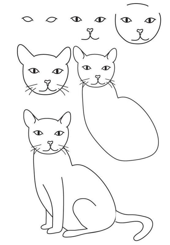 hur man ritar en katt enkelt i sex steg, steg för steg ritning med drag och böjda linjer för att göra en sittande katt