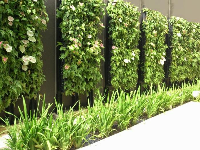 šesť stĺpcov plazivých zelených rastlín s kvetmi krémovej farby, priečka pre rastliny, vertikálna záhrada, zelená stena, horizontálny stĺp zelenej trávy pred zvislými kvetinovými stĺpmi