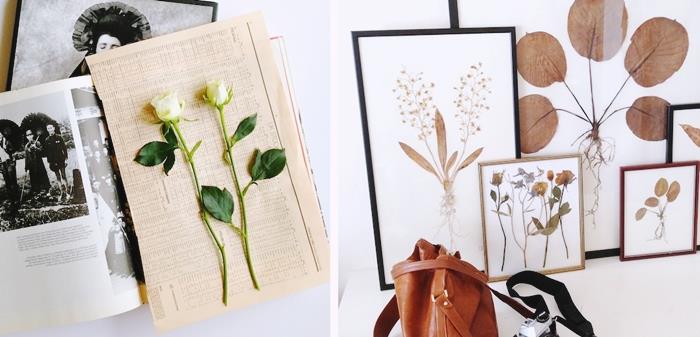exempel original herbarium att göra själv teknik pressade blommor sida journalbok torkmetod blommande växter