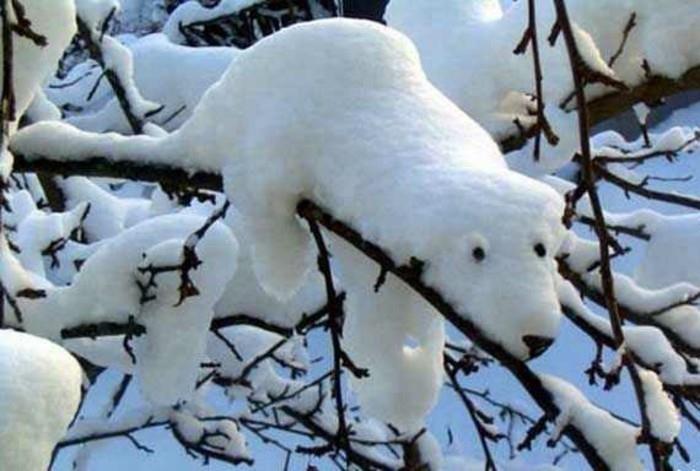make-a-snowman-little-snowman-use-the-branch