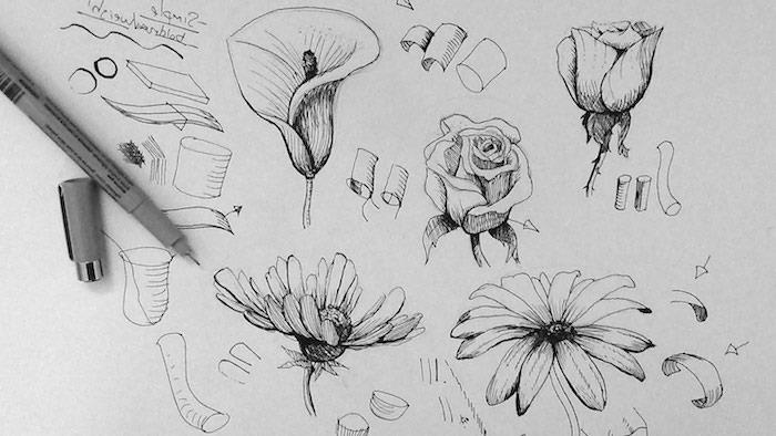 Náčrtky kvetov Kytica kresieb kvetov Naučte sa kresliť jednoducho