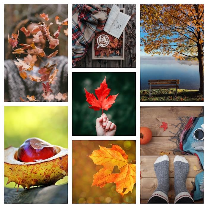 صور مجمعة لصور الخريف المختلفة ، اتجاهات الموضة ، المناظر الطبيعية للخريف وأوراق الخريف