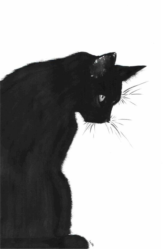 Fototeckning filterritning ritning svartvitt ansiktsfototeckning ganska cool svart katt välritad