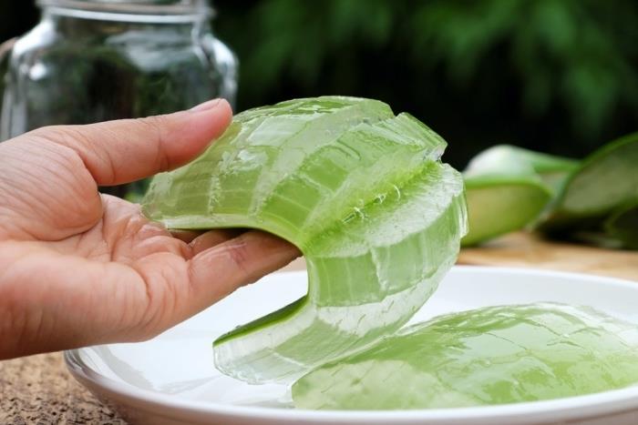kôra listu aloe vera zelená koža toxická rastlina extrakcia lekárskeho gélu prospieva pokožke