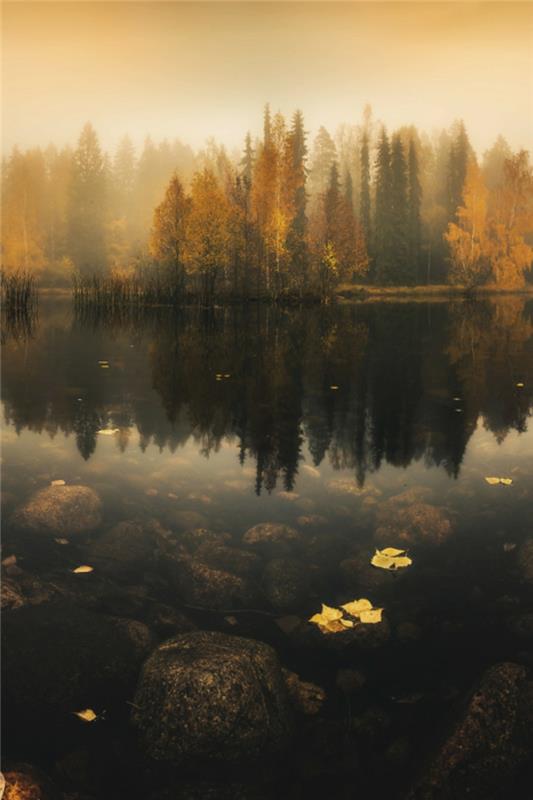 jesenné lístie-krásna-krajinomaľba-krásna-jazero-stromy-tmavá-krajina