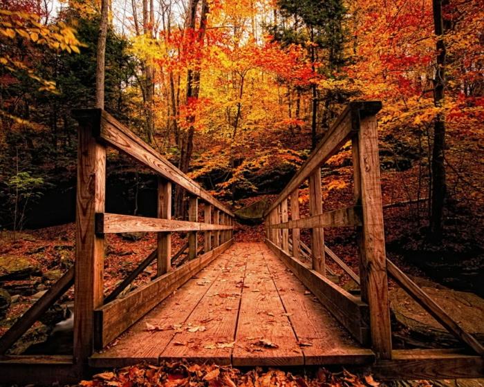 jesenné lístie-krásna-krajina-maľba-magická-cesta