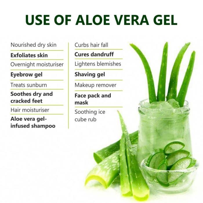 listy rastlinný gélový extrakt aloe vera použitie rastlina domáca lekárske výhody pokožka tela