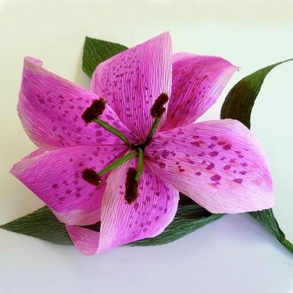 vacker-orkidé-crepon-papper-blomma