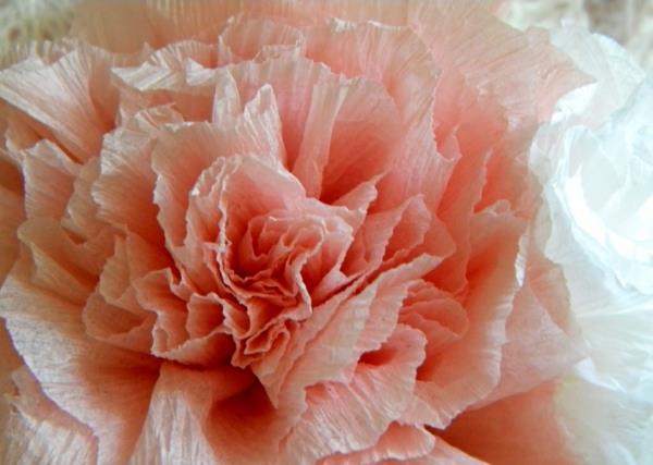 crepon-rosa-papper-blomma-närbild