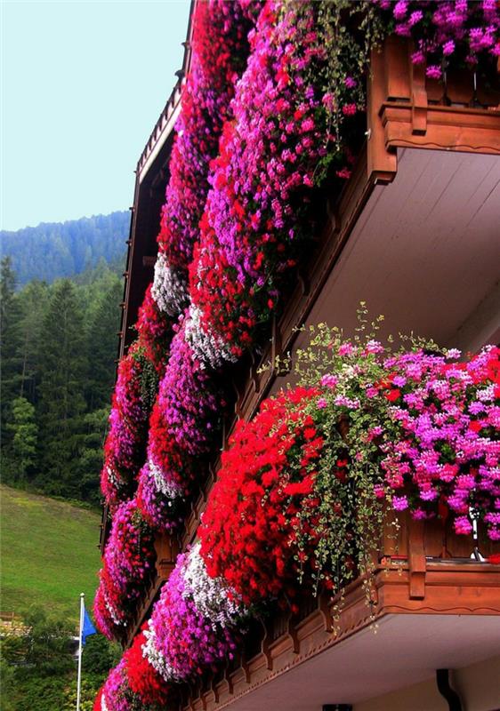 kvetinový balkón s modernými vonkajšími kvetmi pekne moderný exteriér s červenými kvetmi