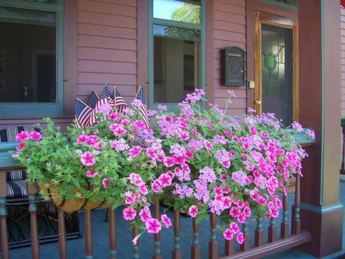 balkónové kvety na ozdobenie peknej terasy v prednej časti domu fialové kvety