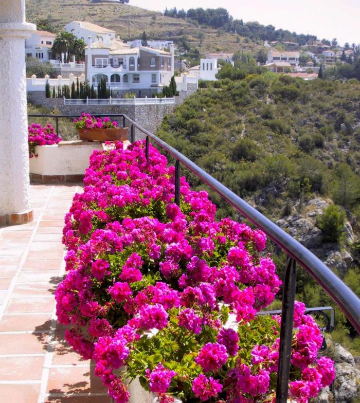 ružové-balkónové kvety-na-balkón-s-pekným výhľadom-do-mesta