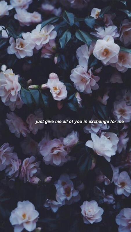 Tumblr tapet låsskärm tapet natur idé foto av rosor med citat