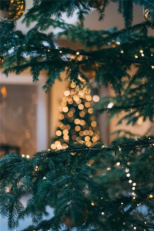 Veselý vianočný nápad 2019 na tapetu pre iphone, fotografovanie vianočného večierka s jedľovými vetvami a svetlami