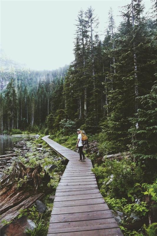 خلفيات جبال الاسكا مع رجل يمشي في الغابة
