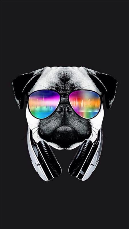 Ideae fond d ecran swag fond ecran iphone wallpaper štýlový pugg life swag cool image