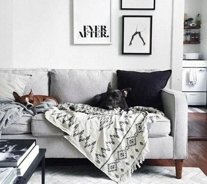 inramad hängande konst, ljusgrå väggar, två hundar, sitter på en grå soffa, vit matta, trägolv