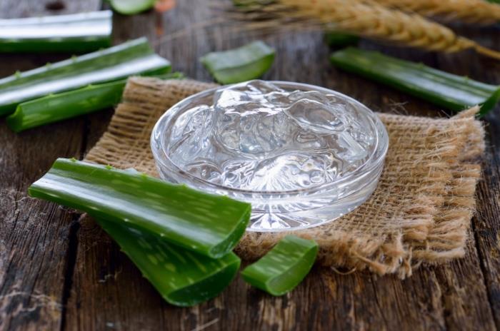 aloe vera gél extrakt listová rastlina lekárske výhody používať aloe vera ošetrenie pokožky, čo robiť s aloe vera