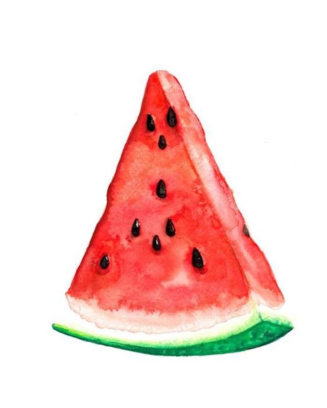 plátok vodného melónu, červená a zelená farba, biele pozadie, z fotografie urobte perokresbu online zadarmo