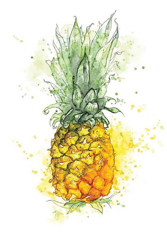 kresba ananásu, zelená a žltá farba, z fotografie urobte perokresbu online zadarmo, biele pozadie