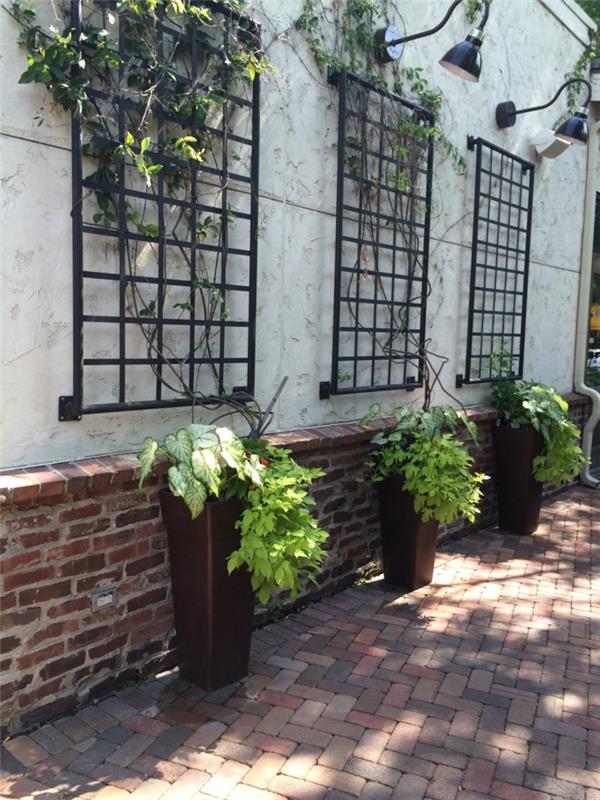 vonkajšia dekorácia steny s tromi ozdobnými čiernymi kovovými panelmi v obdĺžnikovom tvare, rámami starých okien slúžiacimi ako opora pre plazivé rastliny, troma vysokými keramickými vázami so zelenými rastlinami