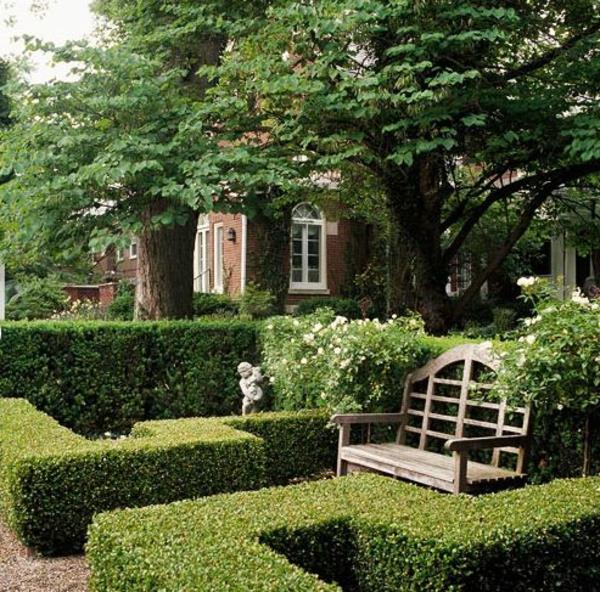 boxwood-hedge-resized