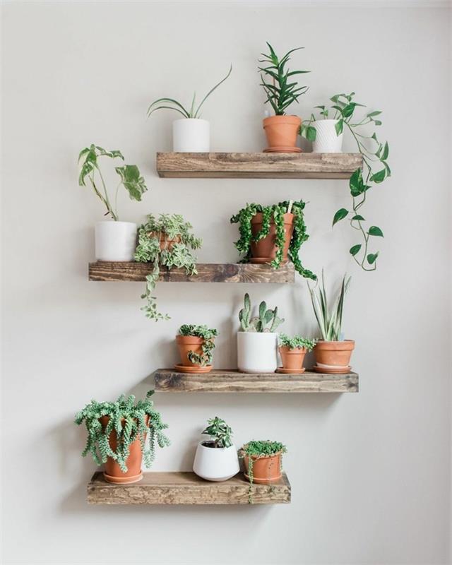 idé hur man skapar en grön vägg med diy hyllplan träplankor mini krukor blomma terrakotta succulenter