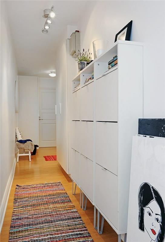 idé-corridoio-stretto-mobil-legno-stile-moderno-pavimento-legno-colore-chiaro-tappeto-stile-etnico