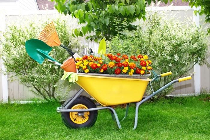 الديكور مع إعادة التدوير ، عربة يد مزروعة بالورود وأدوات البستنة ، فكرة بسيطة لتزيين الحدائق