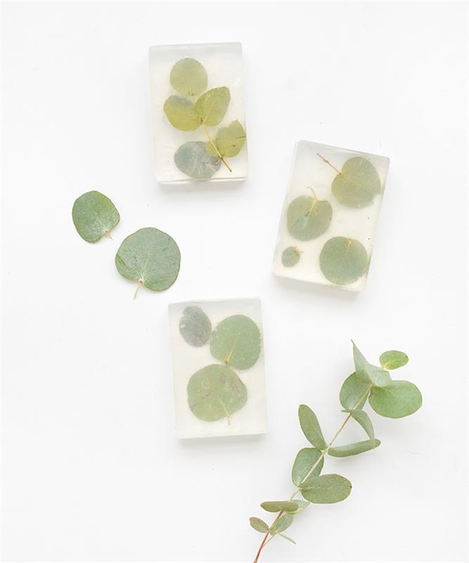 vyrobte si vlastné mydlo z priehľadného glycerínového mydla a zelených listov vo vnútri