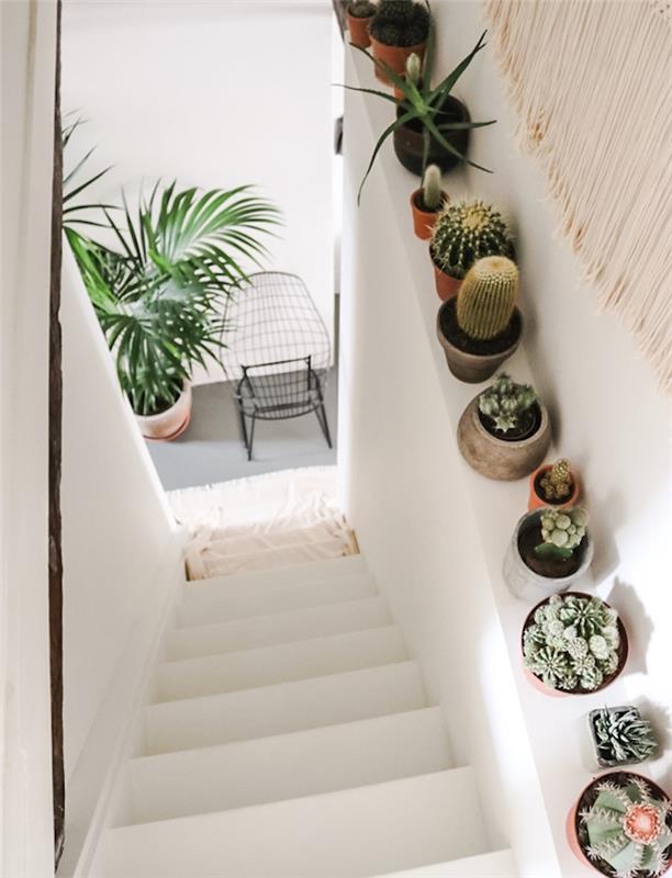 فكرة زخرفة الدرج مع مختلف أواني الصبار الزخرفة النباتية الأصلية