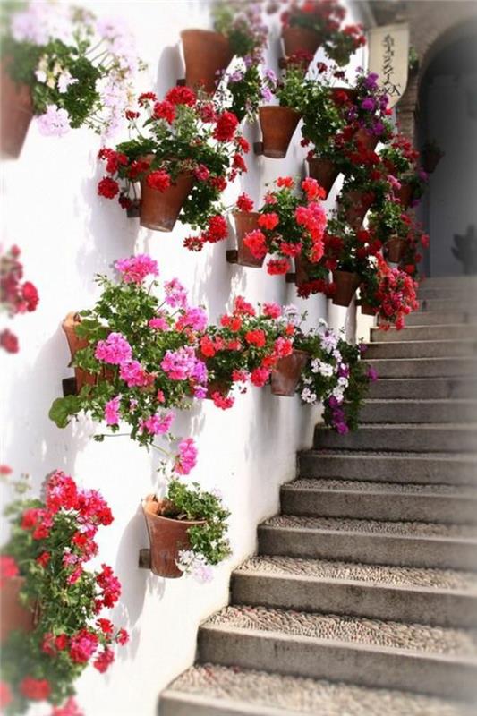 exteriérová dekorácia steny s červenými a ružovými kvetináčmi, nápady na dekoráciu exteriérovej záhrady, výzdoba vonkajšej steny, biela stena, schodisko so širokými schodmi