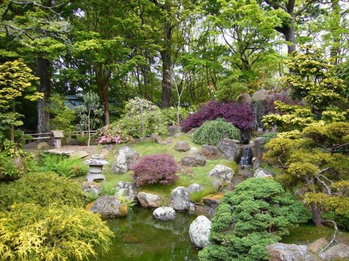 فكرة بركة صغيرة ، مزينة بالحجارة والشجيرات والأشجار المنخفضة ، زخرفة حديقة زينية تقلد الطبيعة في حالتها الخام