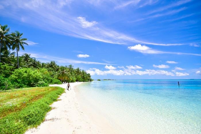 paradisiskt landskap, blå himmel och vita moln, palmer och grönt som omger den gula sanden, genomskinligt blått vatten