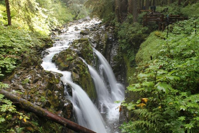 vattenfall i en skog, gröna träd, vatten som rinner bland ett vackert grönt, fridfullt och zenlandskap, natur på våren, landskapstapeter, paradisiskt landskap