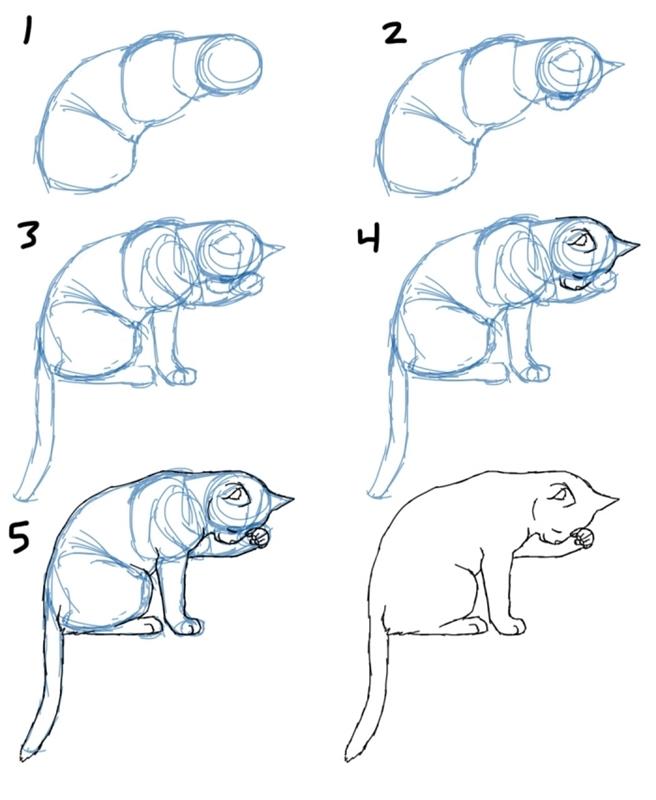hur man gör en sovande katt med blyertspenna i 6 enkla steg