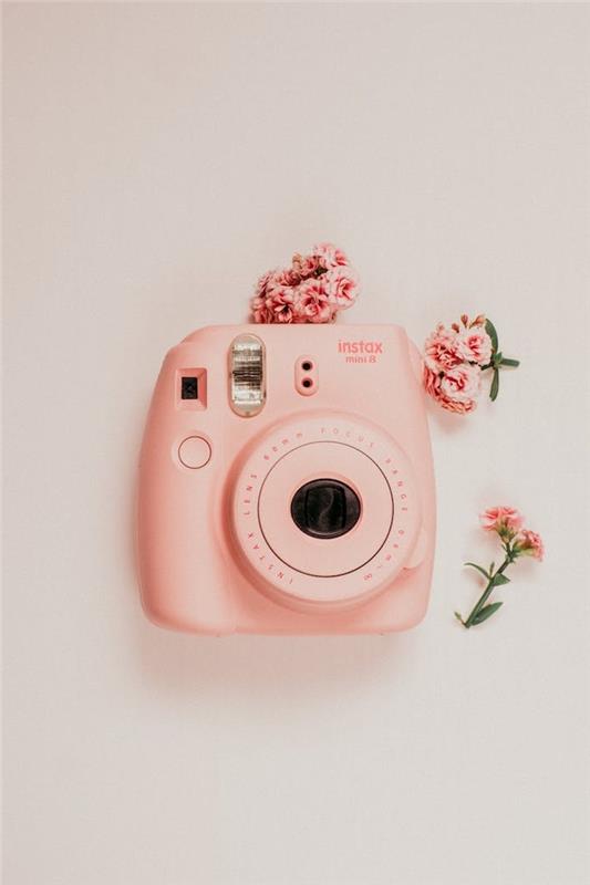 pôvodný obrázok mini kamery instax a malé kvety na sivobielom pozadí