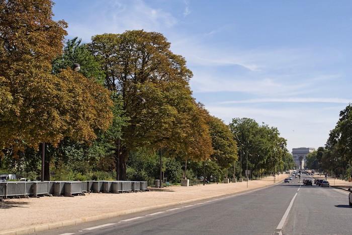 Bild avenue foch bois de boulogne triumfbåge