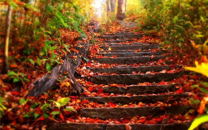 jeseň-krajina-krajina-obraz-schody-na-jeseň-kamene