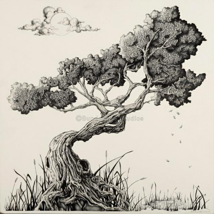 رسم شجرة الربيع فرع شجرة رسم شجرة الحياة رسومات