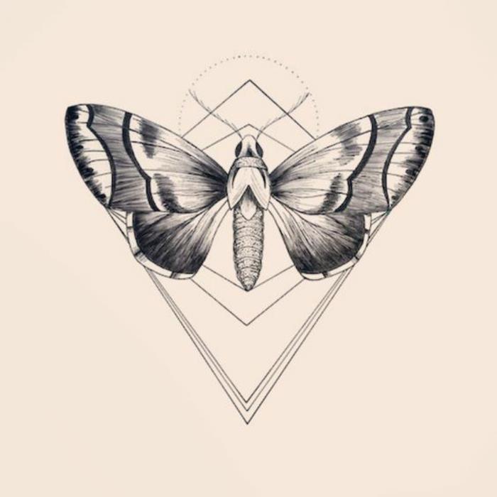 Foto av geometrisk teckning med förklaring rita fjäril