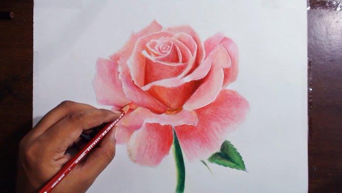 Ružová kresba v ružovej farbe s okvetnými lístkami s 3D efektom, kresba ružového kvetu na kreslenie farebnej kvetinovej krajiny