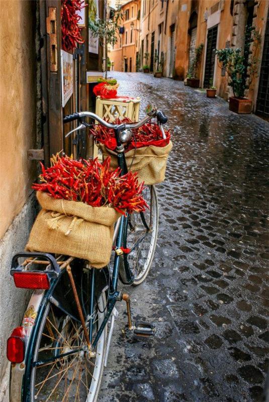 taliansko-cestovný bicykel