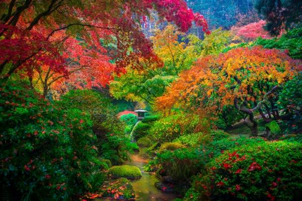 Japonská záhrada-Portland-Oregon