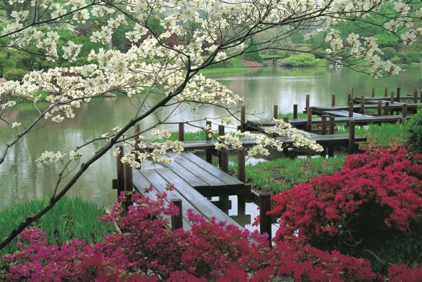 Japonská záhrada-nádherné farby
