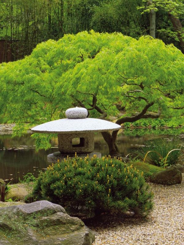Japonské záhrady a kúzelné stromy