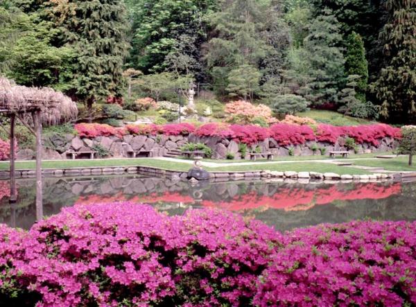 Japonská záhrada-veľmi pekná